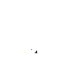 5555z