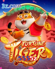 5555z