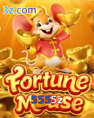 5555z